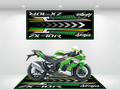Motorcycle Mat for ZX-10R